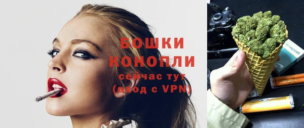 mix Белокуриха
