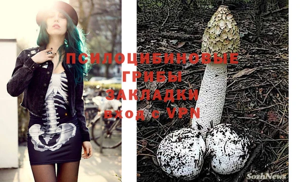 mix Белокуриха