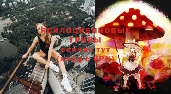 mix Белокуриха