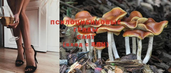 прущие крисы Белоозёрский