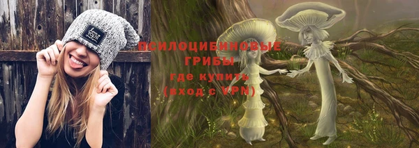 прущие крисы Белоозёрский