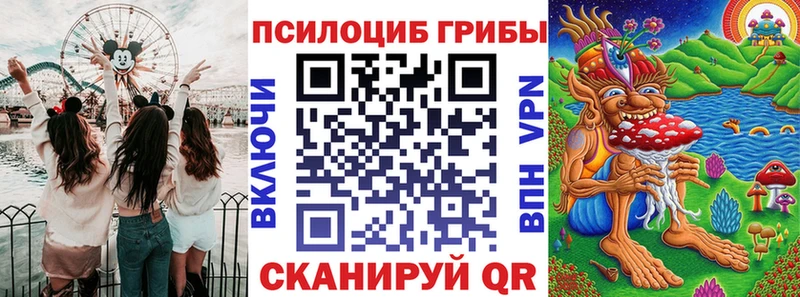 сколько стоит  OMG сайт  Галлюциногенные грибы Cubensis  Ростов-на-Дону 